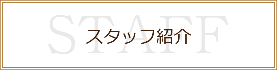 スタッフ紹介